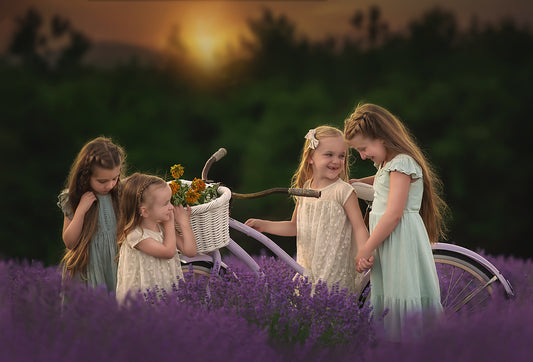 Lavender Fields - Meg Bitton Productions