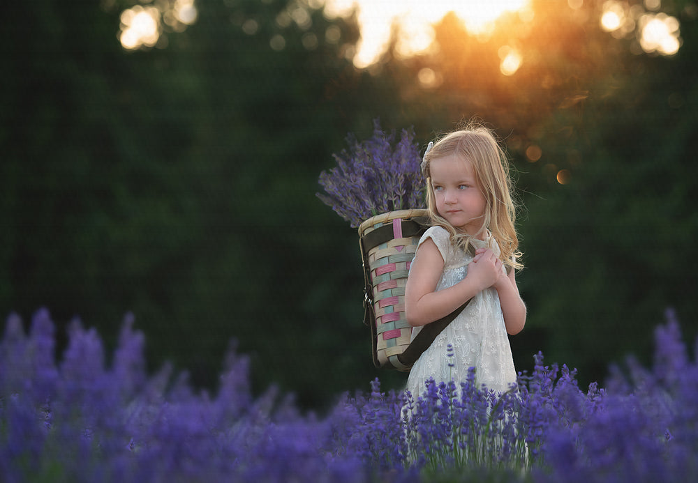 Lavender Sunset - Meg Bitton Productions