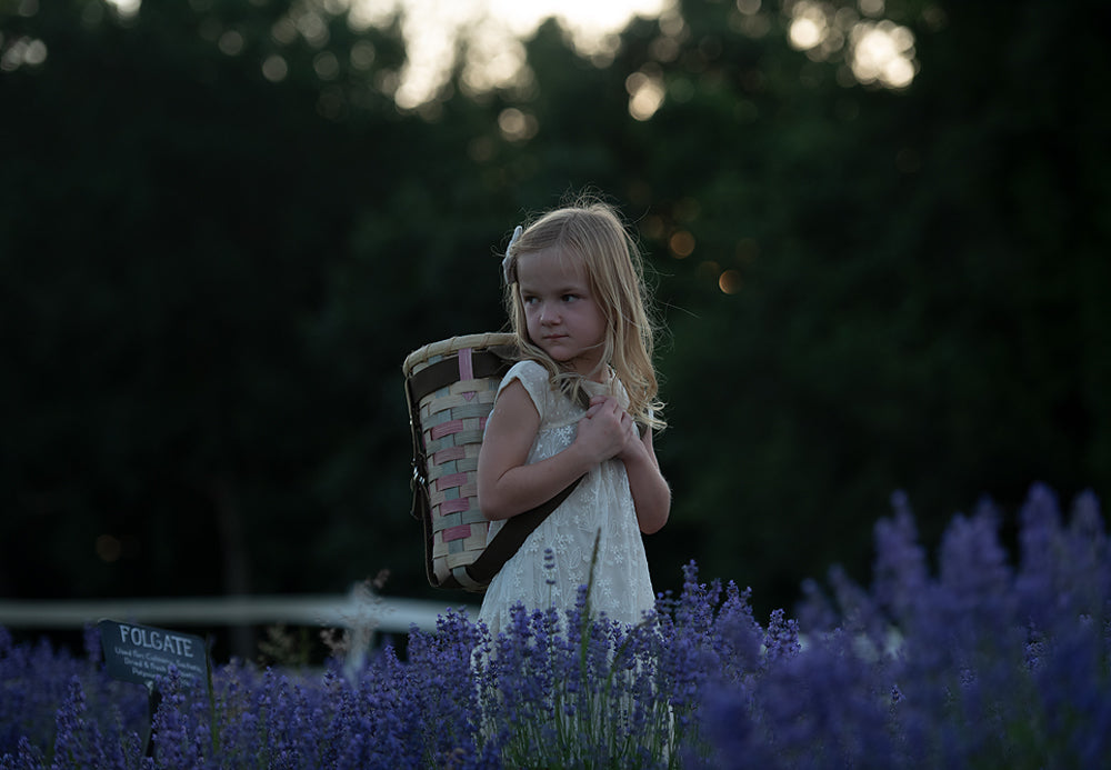 Lavender Sunset - Meg Bitton Productions