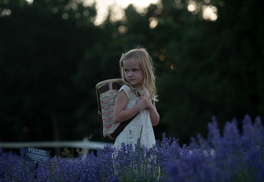 Lavender Sunset - Meg Bitton Productions