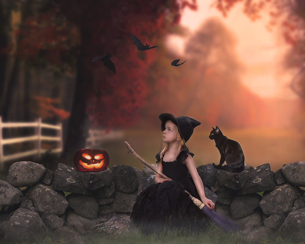 Little Witch - Meg Bitton Productions
