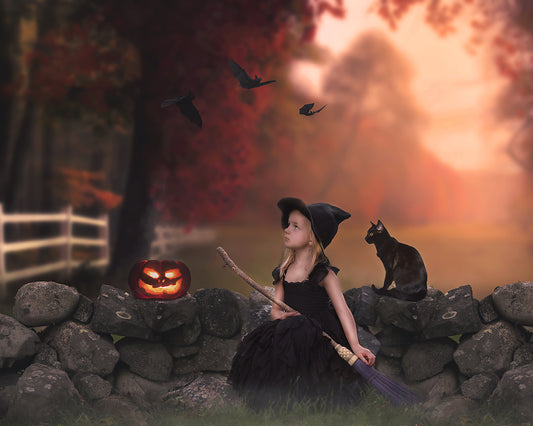 Little Witch - Meg Bitton Productions