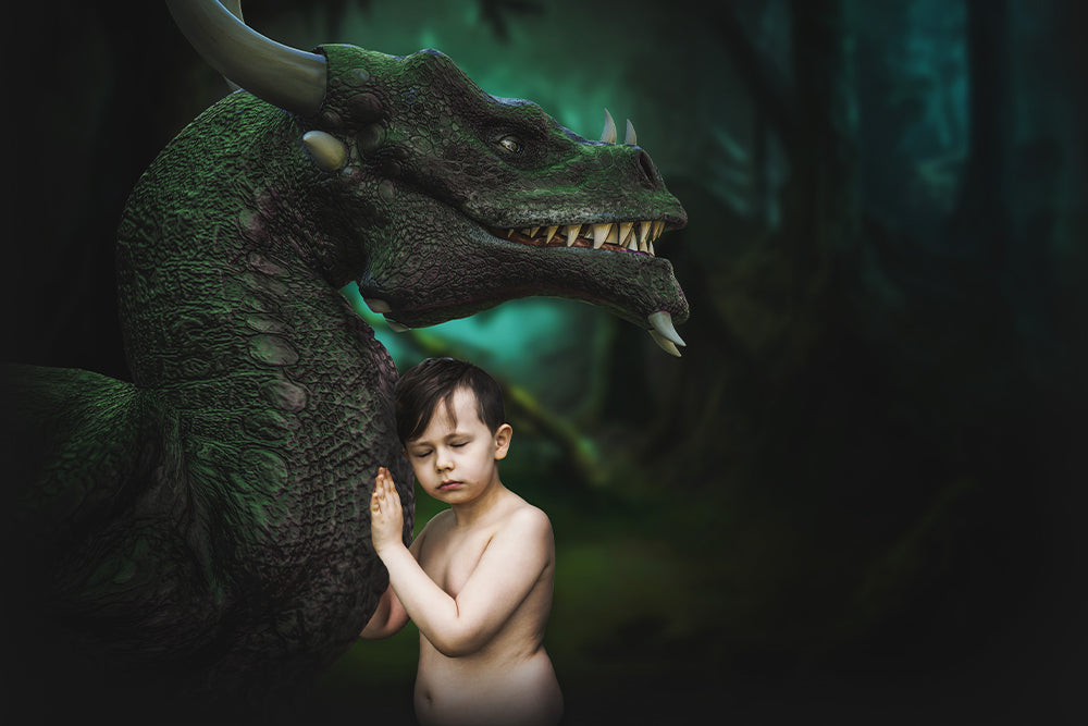 The Magic of Dragons - Meg Bitton Productions