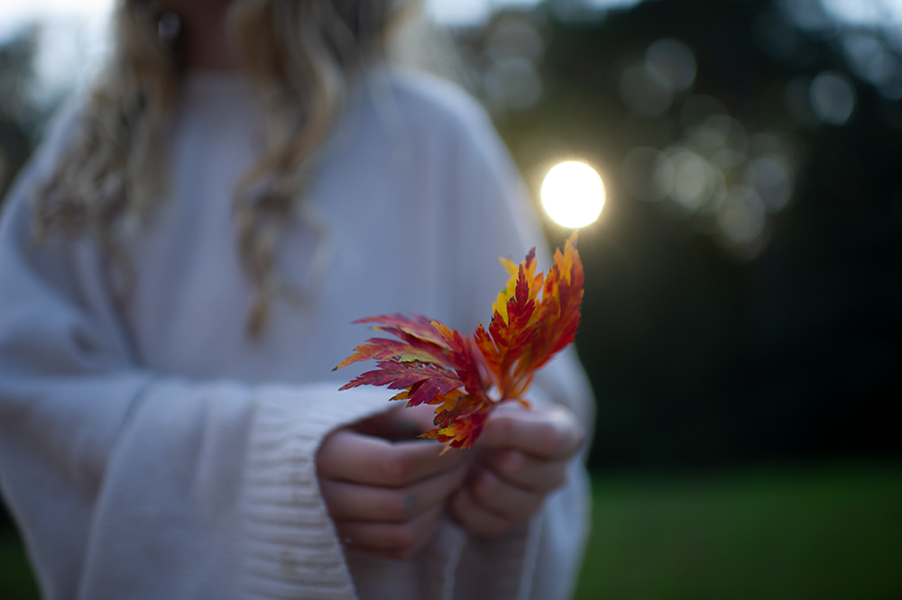 Maple Leaf - Meg Bitton Productions