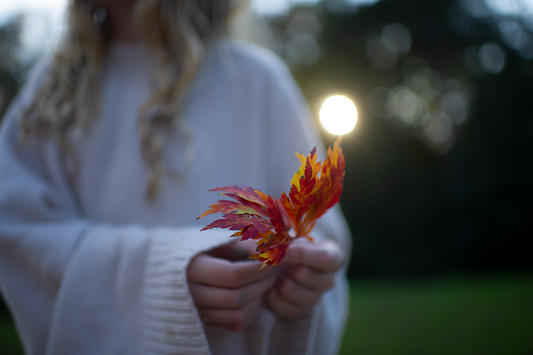 Maple Leaf - Meg Bitton Productions