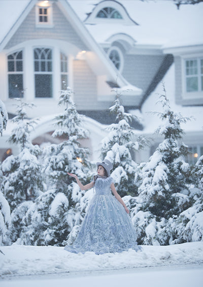 March Snow Day - Meg Bitton Productions