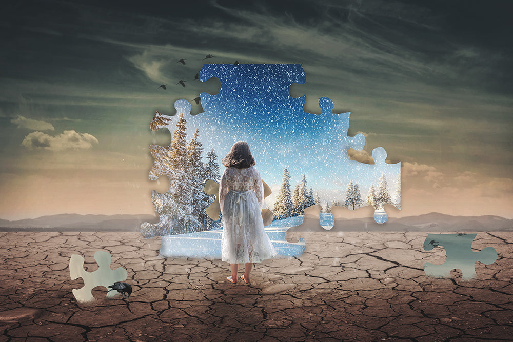 Missing Pieces - Meg Bitton Productions
