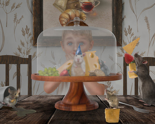 Mouse Trap - Meg Bitton Productions