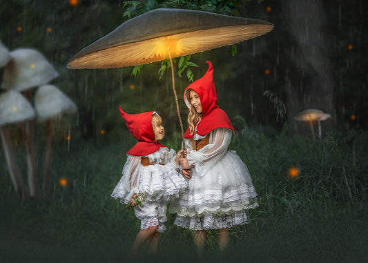 Mushroom Gnomes - Meg Bitton Productions