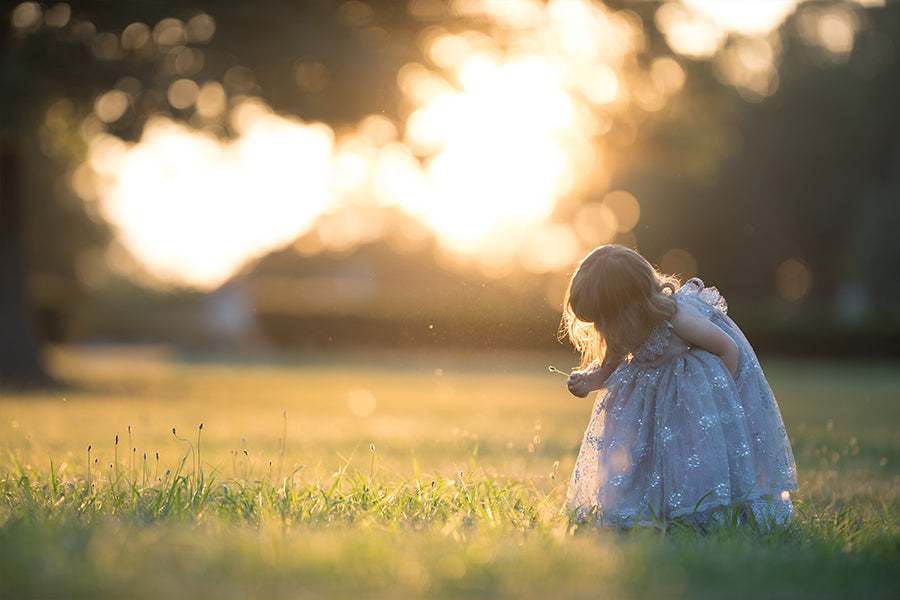 Backlight Gold - Meg Bitton Productions