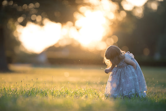 Backlight Gold - Meg Bitton Productions