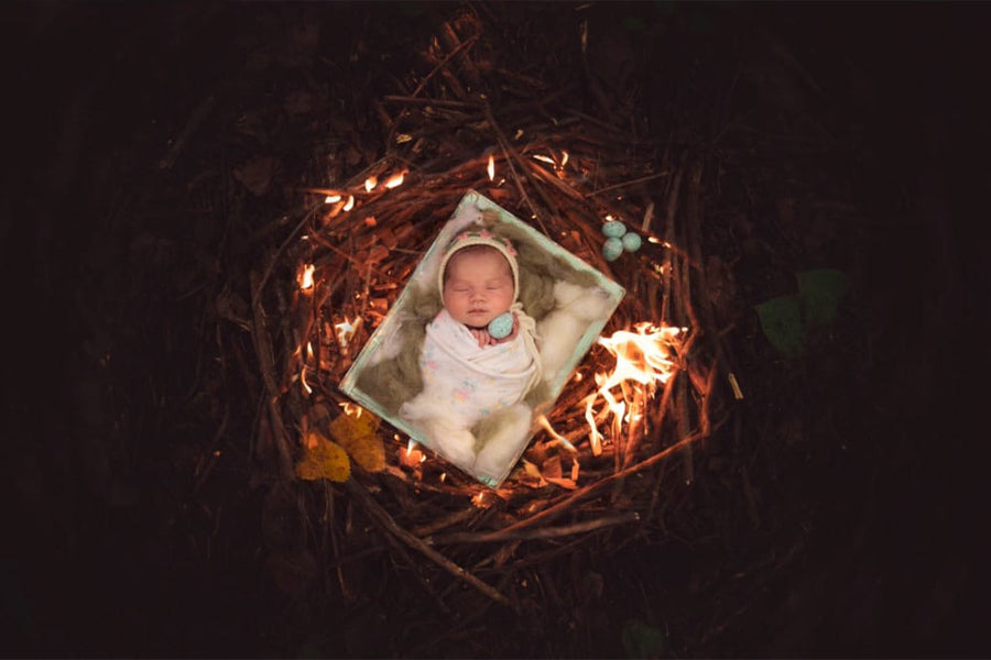 Nest of Fire - Meg Bitton Productions