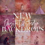 Limited Edition: December Digital Studio Backdrop Bundle - Meg Bitton Productions