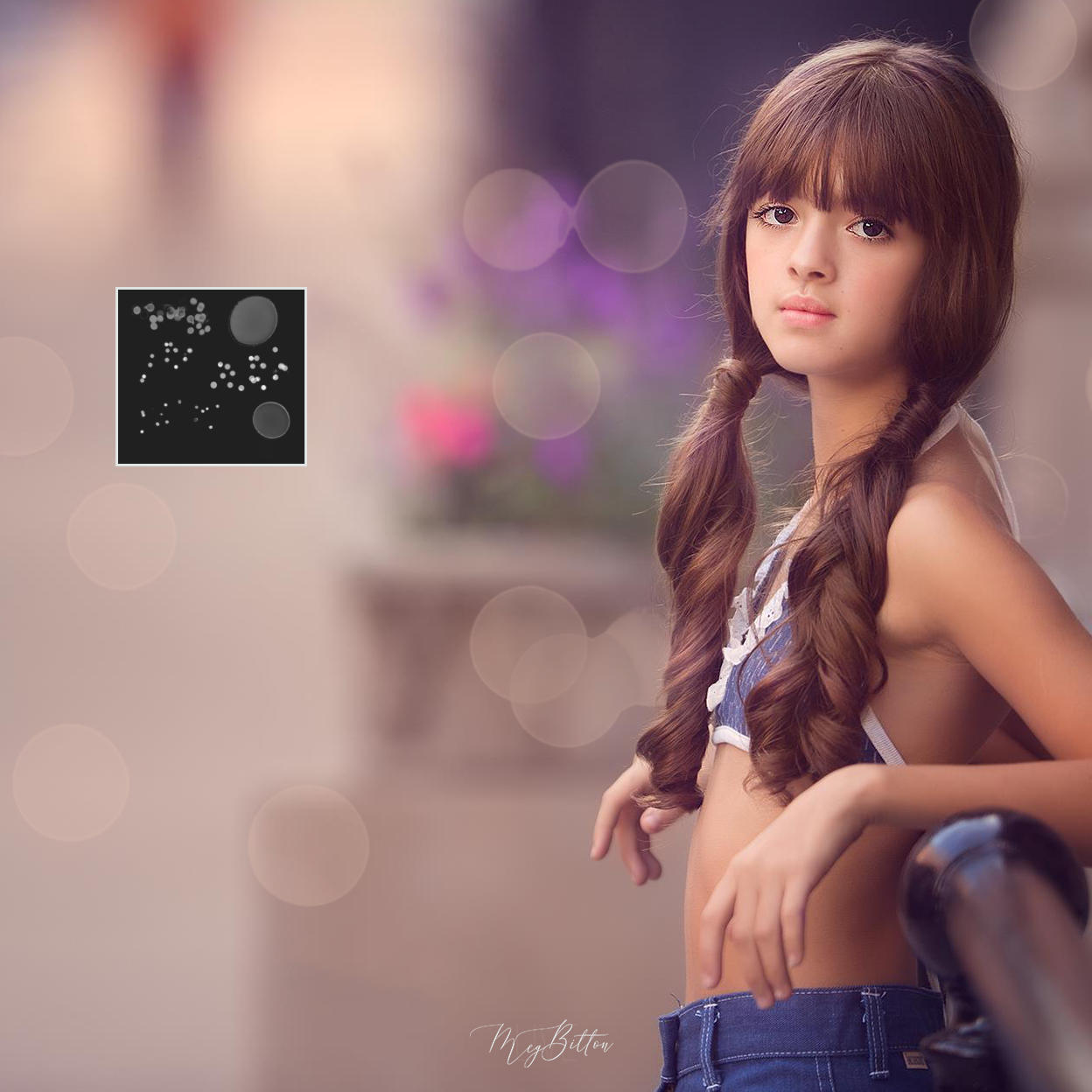 Bokeh Brushes