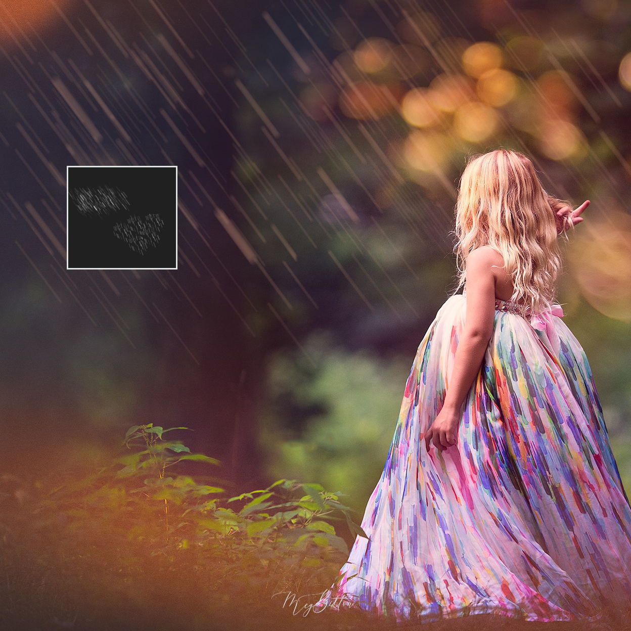 Rain Brushes