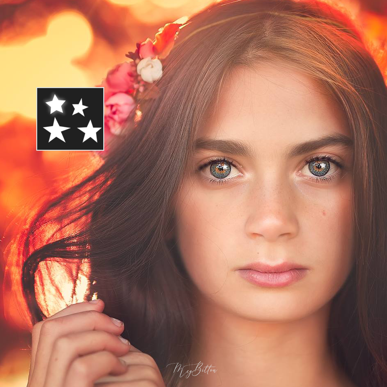 Star Catchlights Brushes