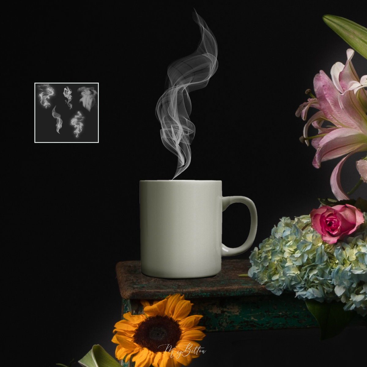 Steam Brushes - Meg Bitton Productions