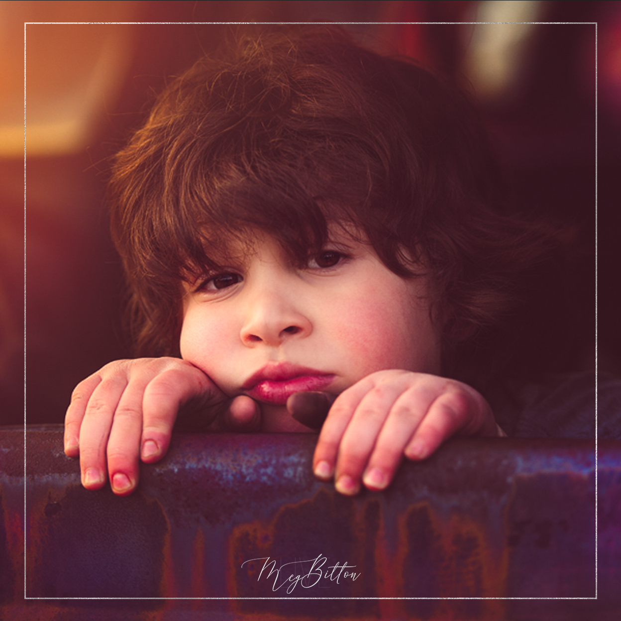 Magical Chestnut Preset - Meg Bitton Productions