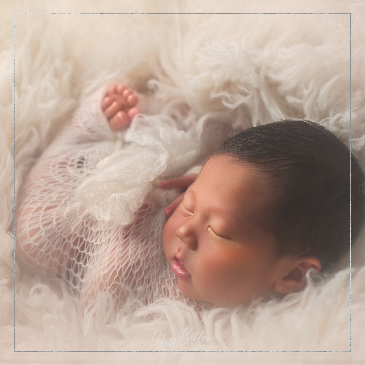 Magical Creamy Newborn Action - Meg Bitton Productions