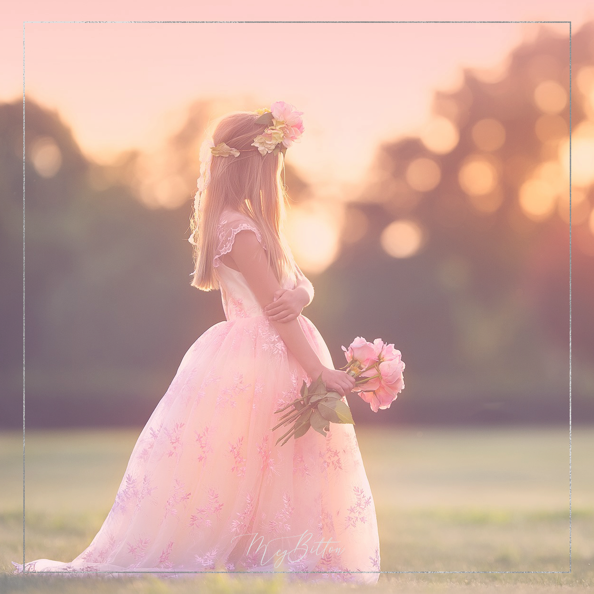 Magical Late Summer Lavender Action - Meg Bitton Productions