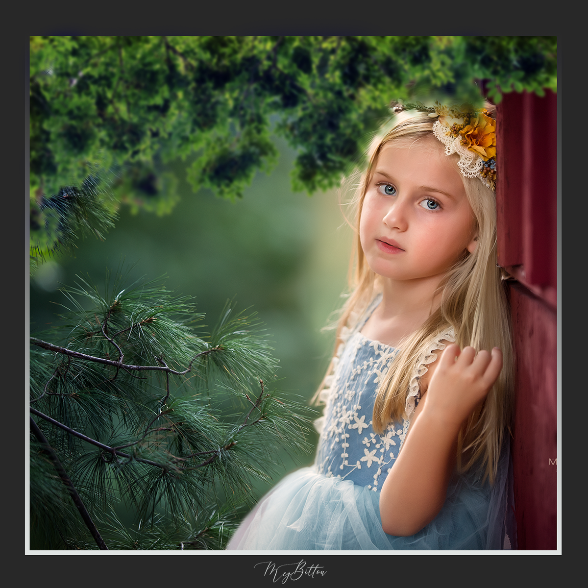 Magical Shoot Through - Summer Tree Branches - Meg Bitton Productions