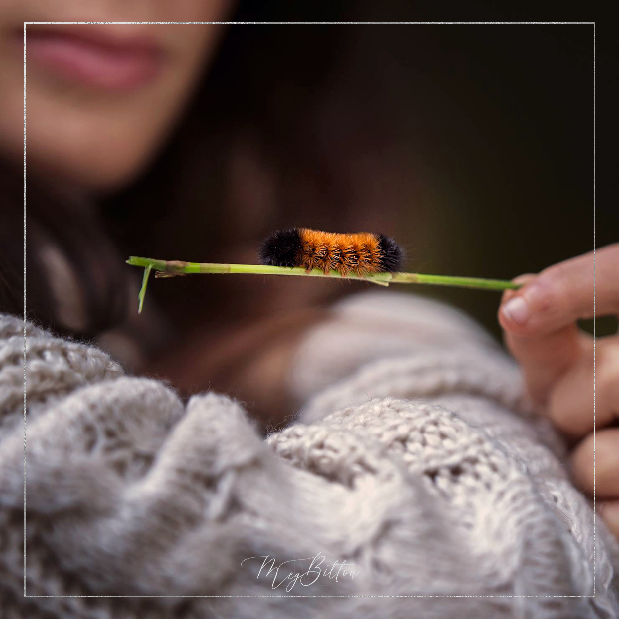 Magical Summer Details Action - Meg Bitton Productions