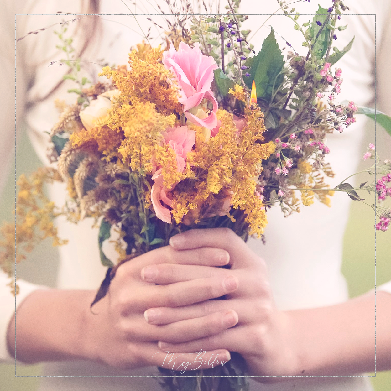 Magical Winter Flowers Action - Meg Bitton Productions