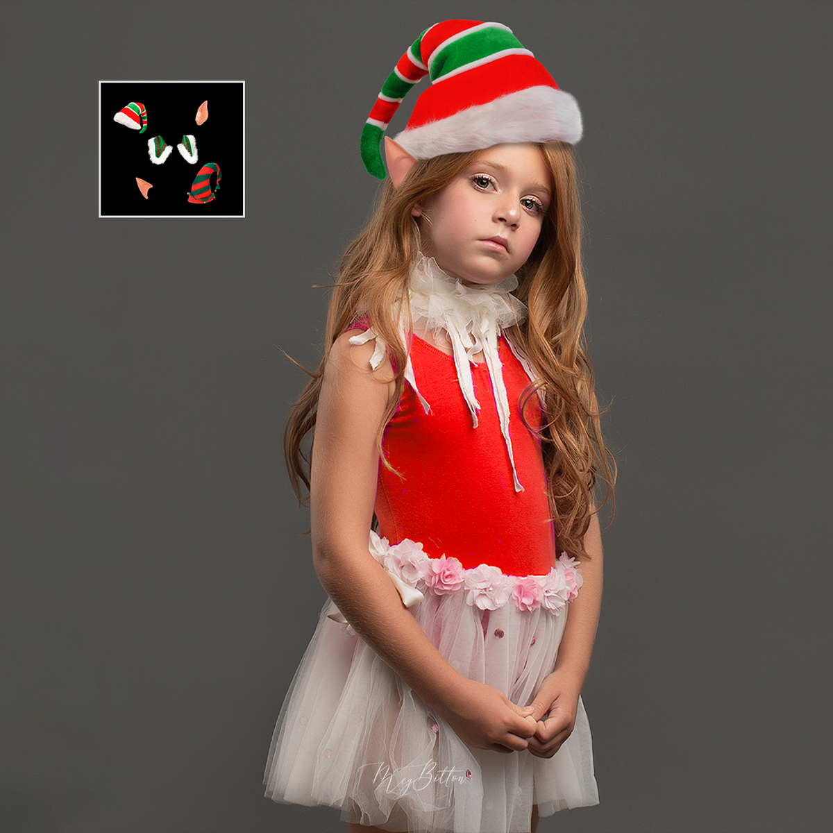 Mixer Brush: Elf Set - Meg Bitton Productions