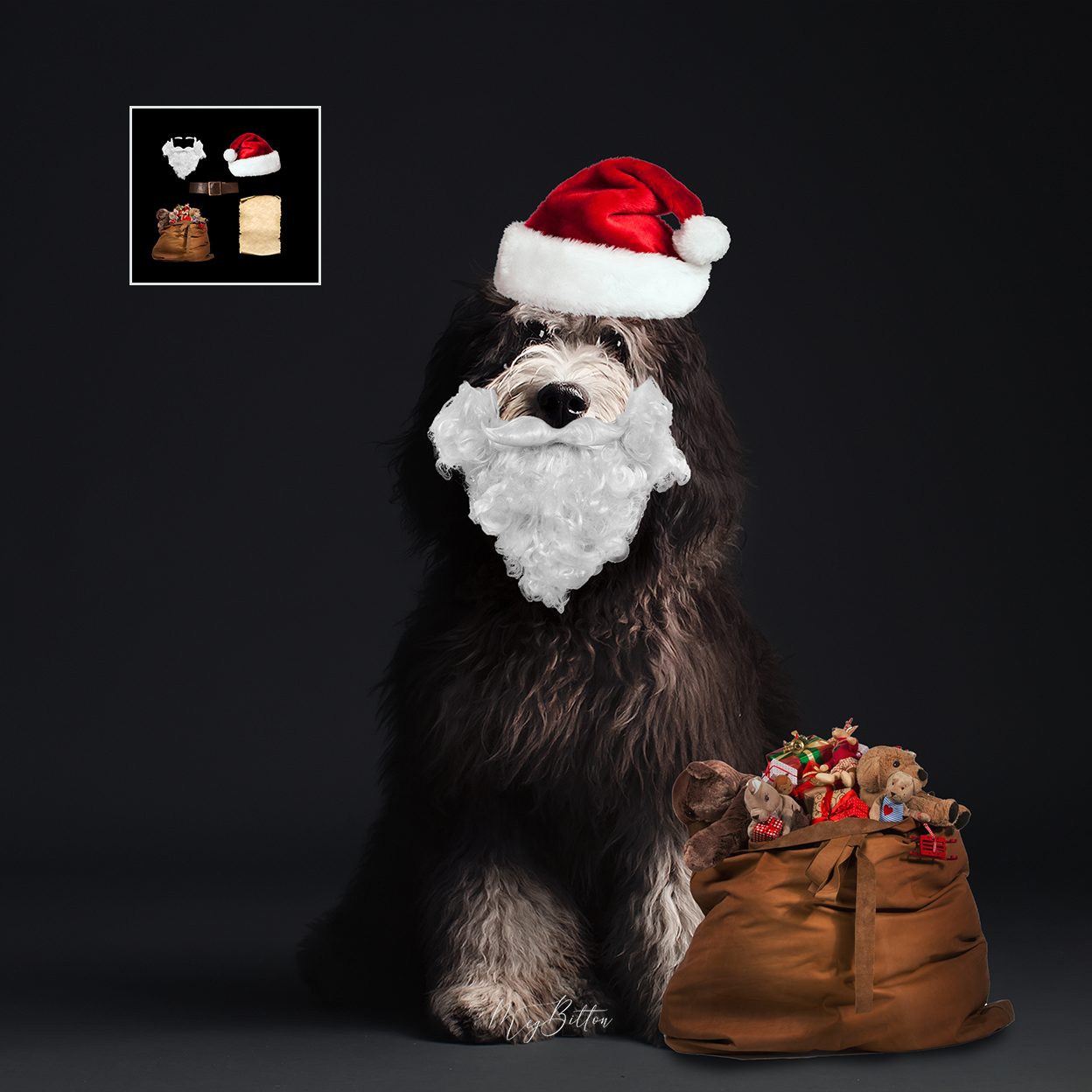 Mixer Brush: Santa Kit