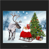 Magical Holiday Overlays - Meg Bitton Productions