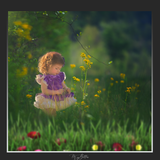 Magical Shoot Through - Wildflower Grass - Meg Bitton Productions