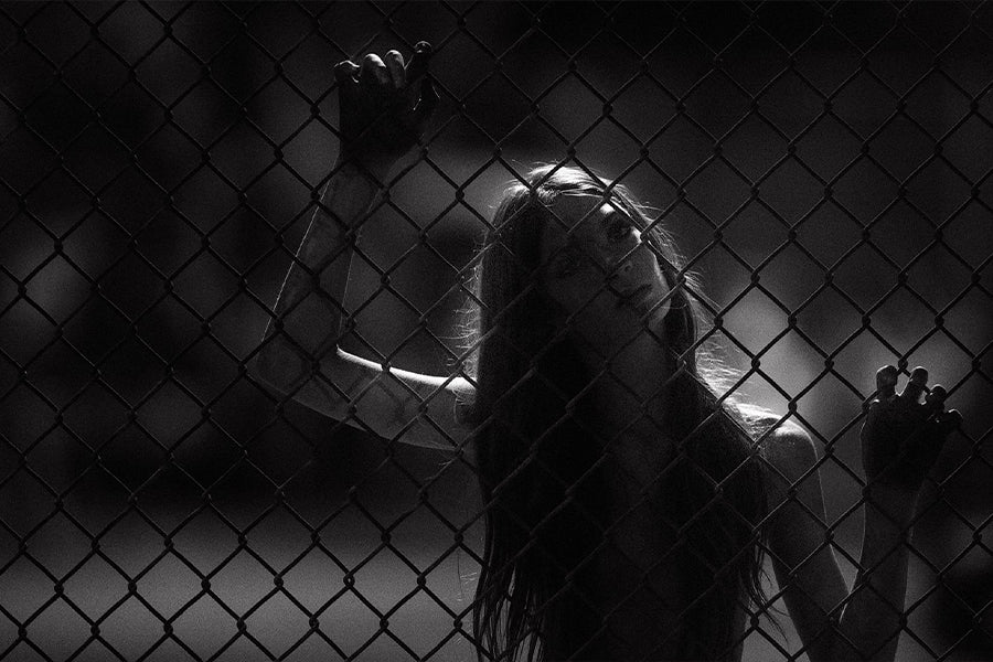 On the Fence - Meg Bitton Productions