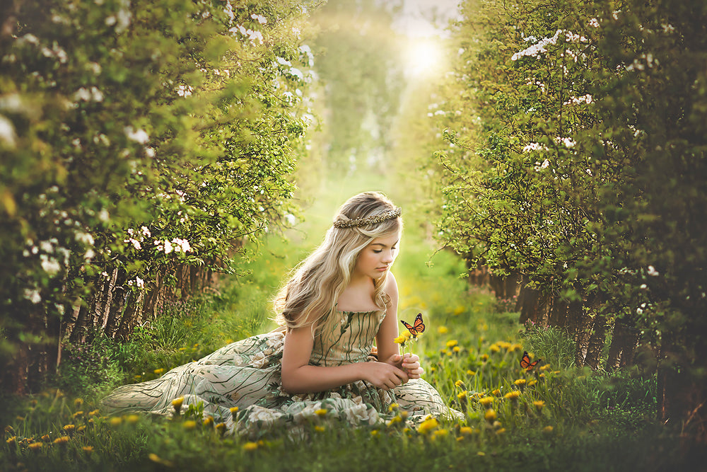 Orchard Blooms - Meg Bitton Productions