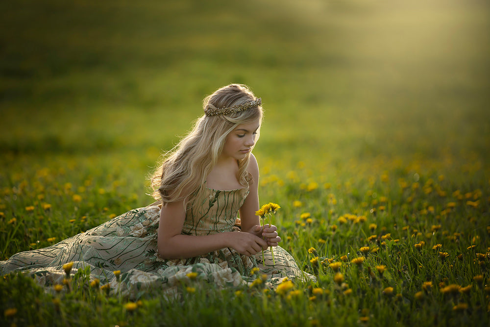 Orchard Blooms - Meg Bitton Productions