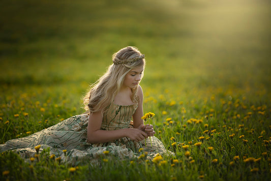 Orchard Blooms - Meg Bitton Productions