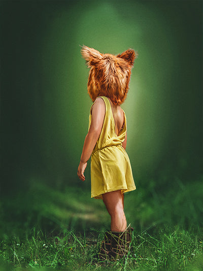 Painterly Fox - Meg Bitton Productions