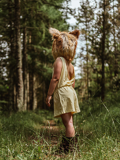 Painterly Fox - Meg Bitton Productions