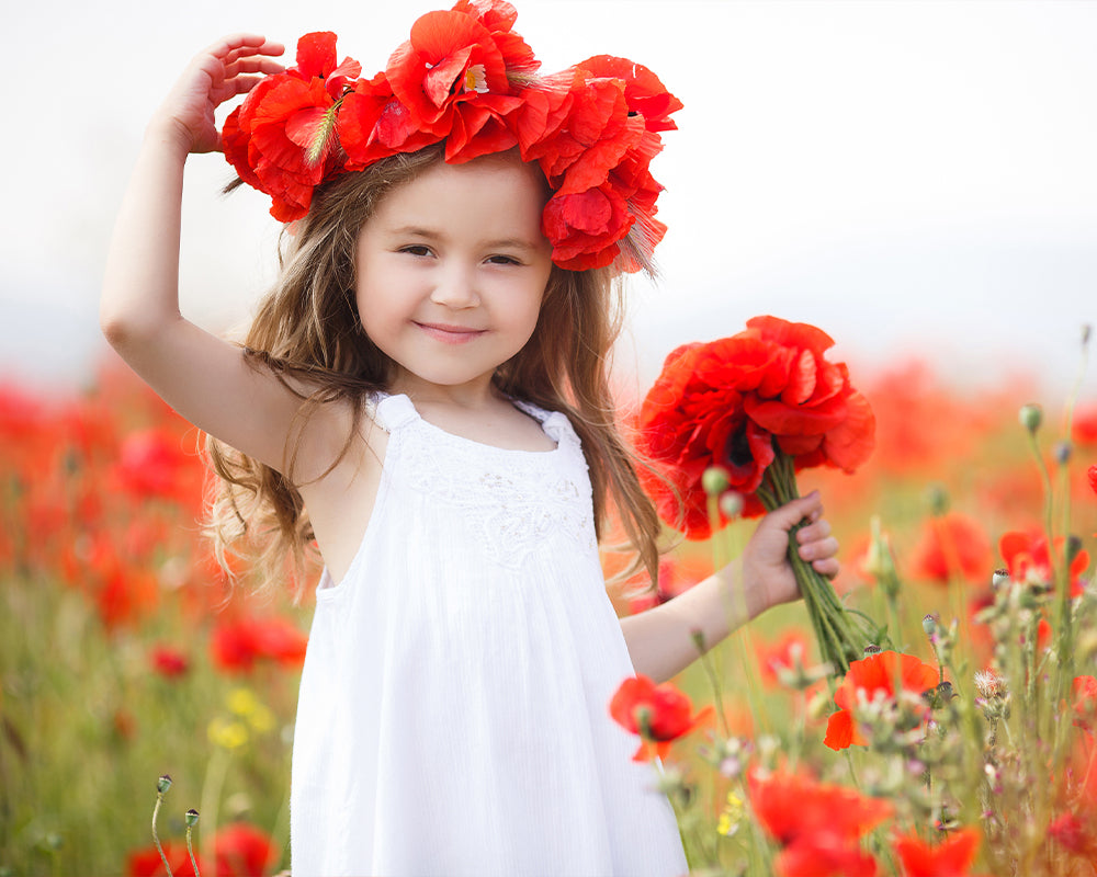 Painterly Poppies - Meg Bitton Productions