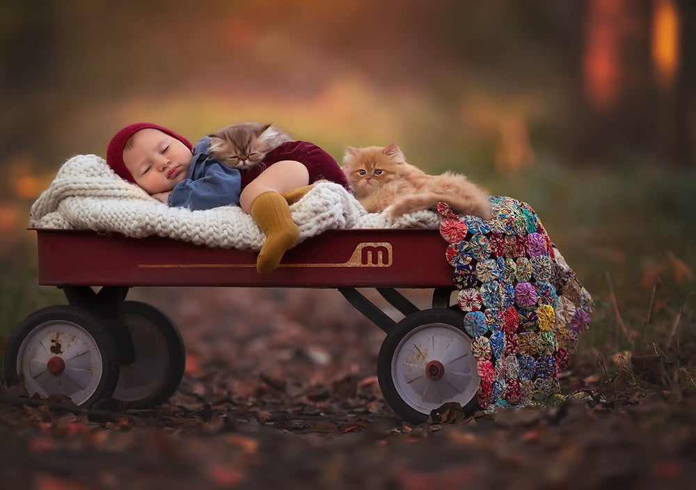 Painterly Cuddle Wagon - Meg Bitton Productions