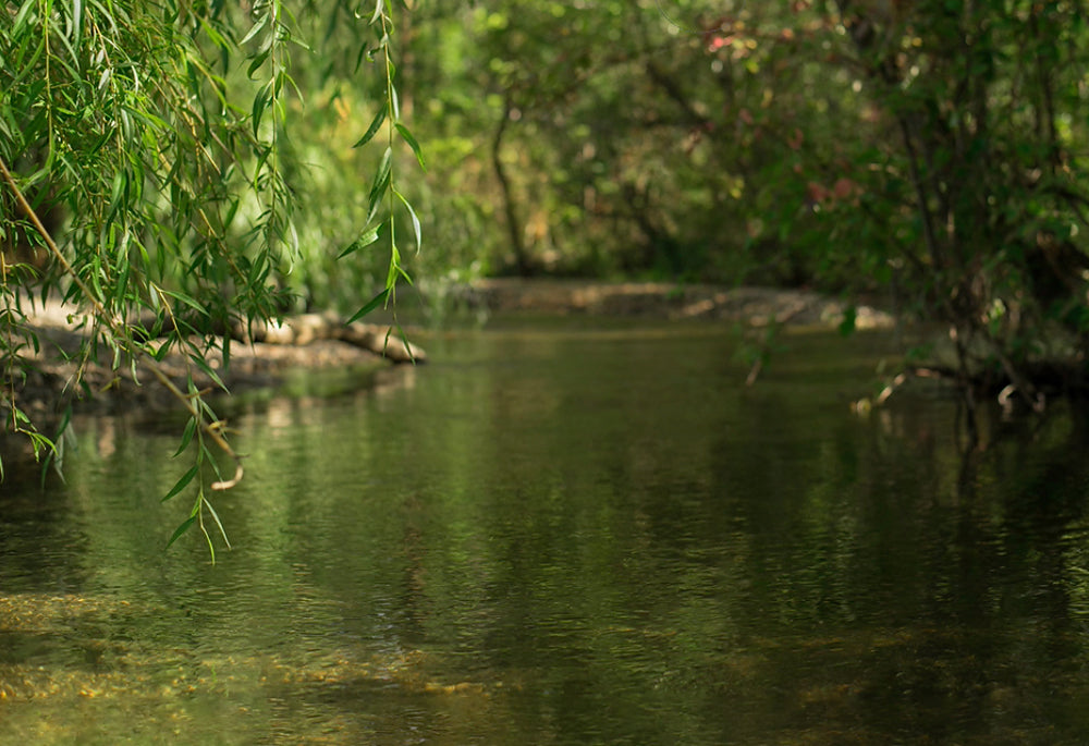 Peaceful River - Meg Bitton Productions