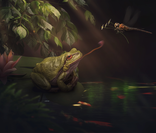 Pond Life - Meg Bitton Productions