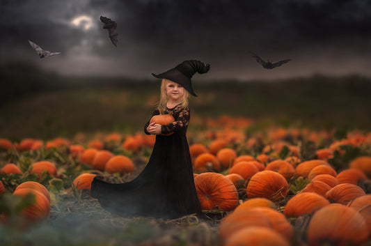 The Pumpkin Patch - Meg Bitton Productions