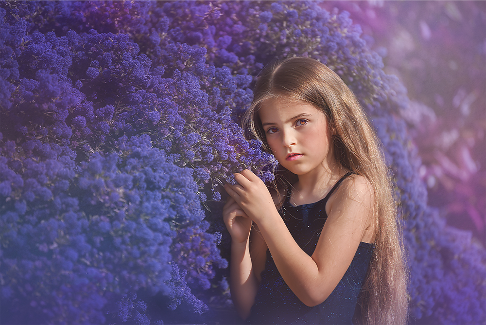 Purple Haze - Meg Bitton Productions