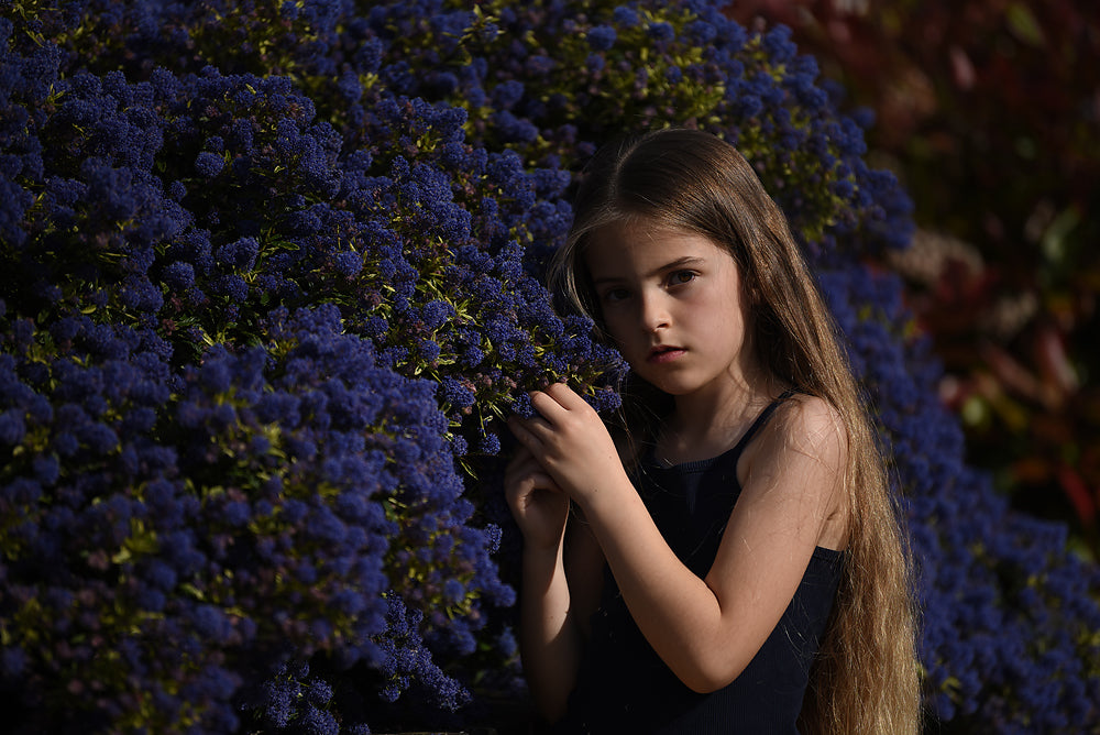 Purple Haze - Meg Bitton Productions
