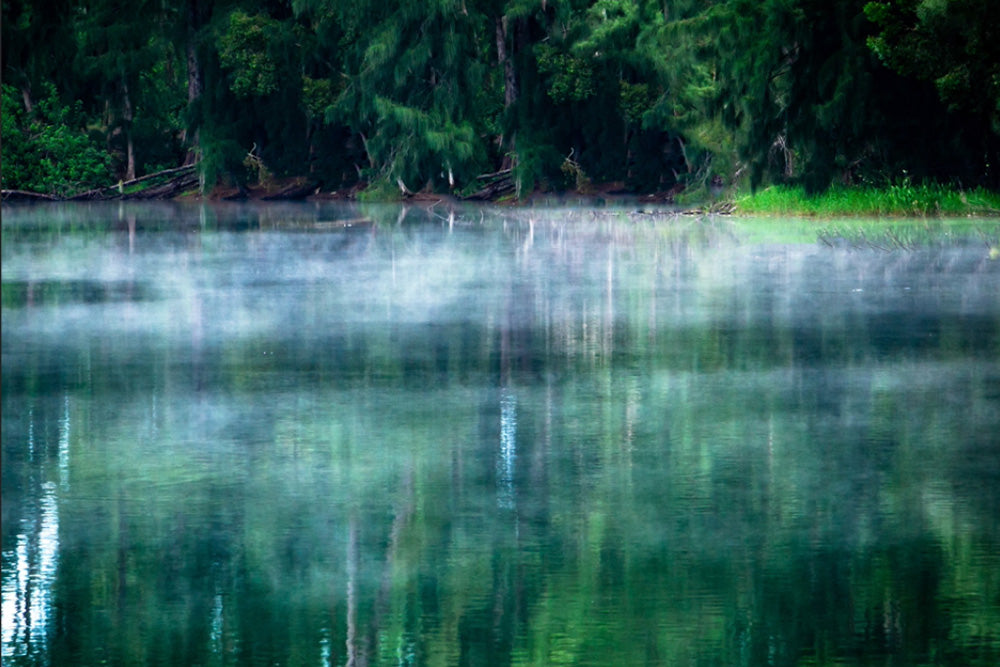 Reflections Tutorial - Meg Bitton Productions