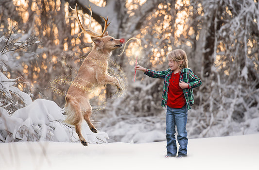 Reindeer Dog - Meg Bitton Productions