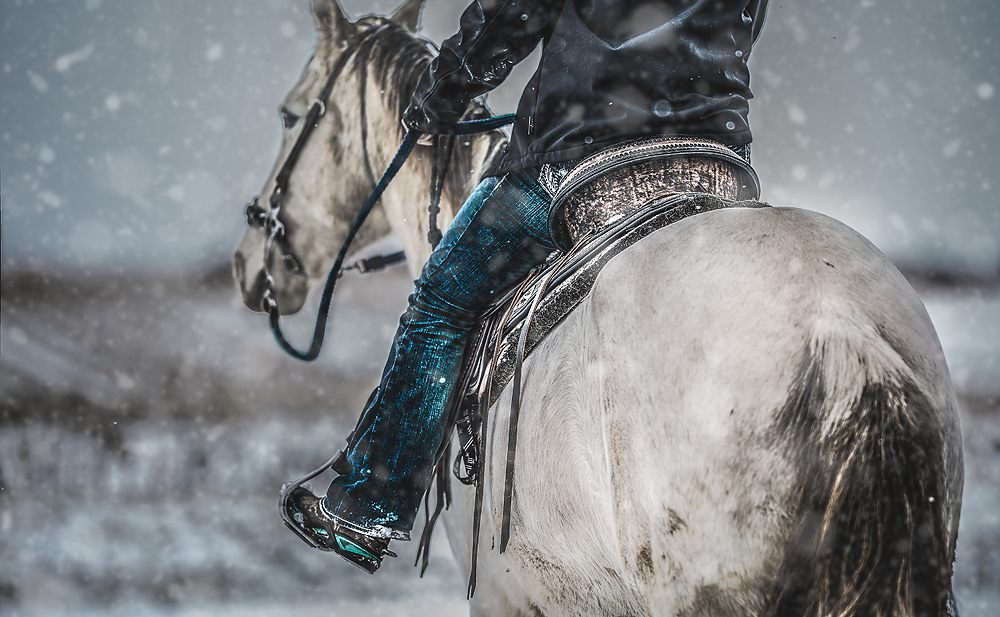 Saddleback - Meg Bitton Productions