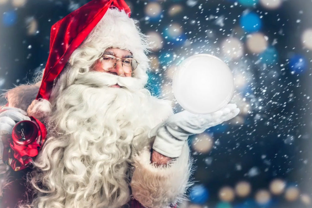 Santa Snow Globe - Meg Bitton Productions