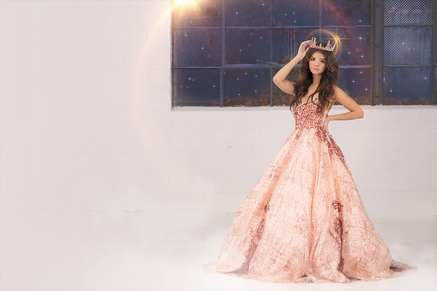 Silent Princess - Meg Bitton Productions