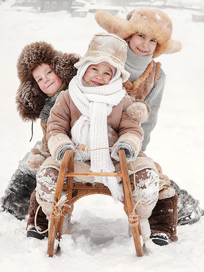 Sled Buddies - Meg Bitton Productions